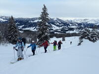 Le calme avant la tempête Le calme avant la tempête